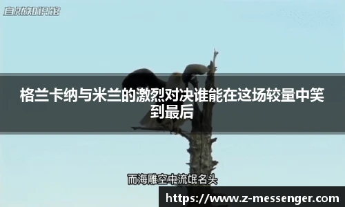 FUN乐天使体育